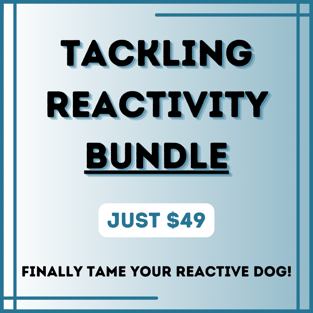 SpiritDog Training Facebook ad