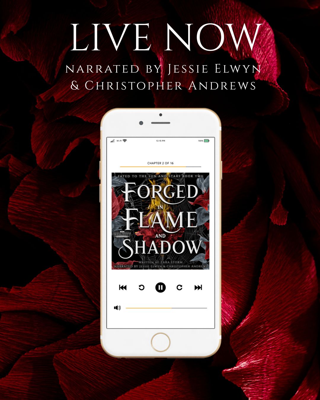 Zara Storm Author Facebook ad