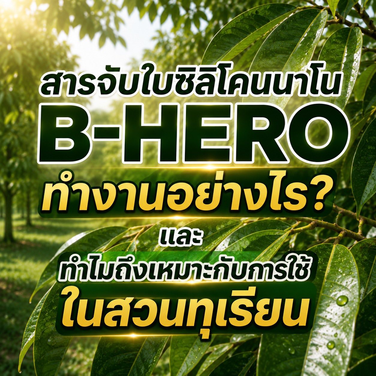 B-Hero Facebook ad: สารจับใบ ซิลิโคนนาโน B-HERO ทำงานอย่างไร?