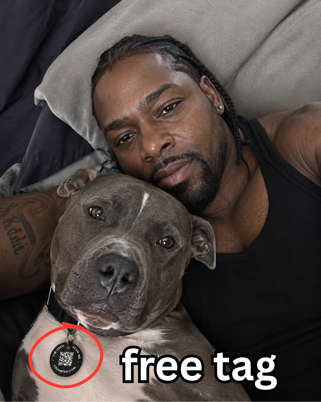 Pet Lifehacks Facebook ad