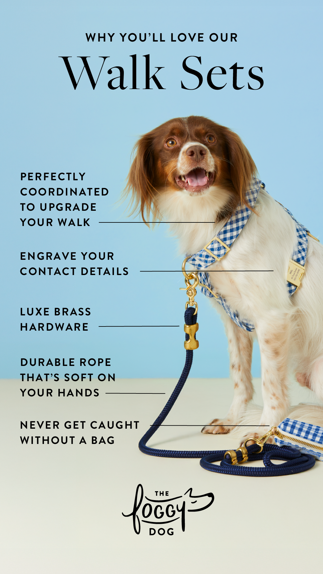 The Foggy Dog Facebook ad