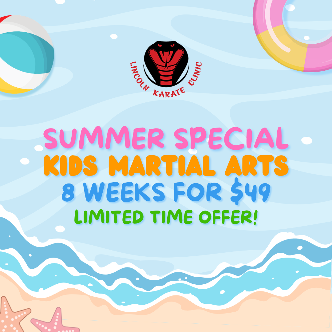 Lincoln Karate Clinic Facebook ad: Summer Into Confidence + Try 8 WEEKS for $49!