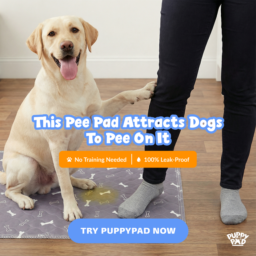 PuppyPad Facebook ad