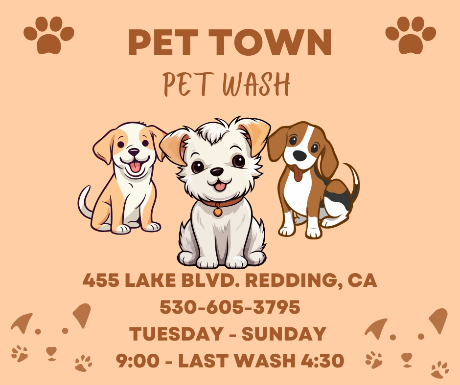 Pet Town Self-Serve Pet Wash & Supply - Redding Facebook ad