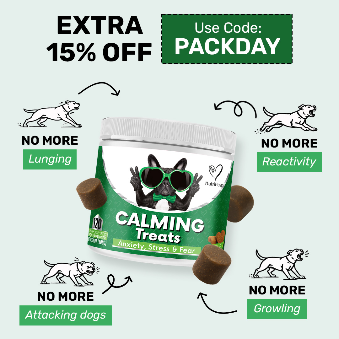 Healthy Dog 24/7 Facebook ad