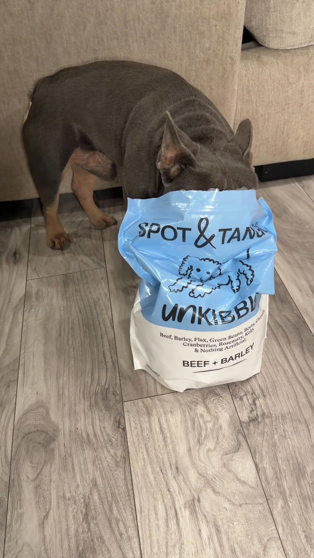 Kash.d.frenchie Facebook ad: UnKibble, Try for 50% Off Today