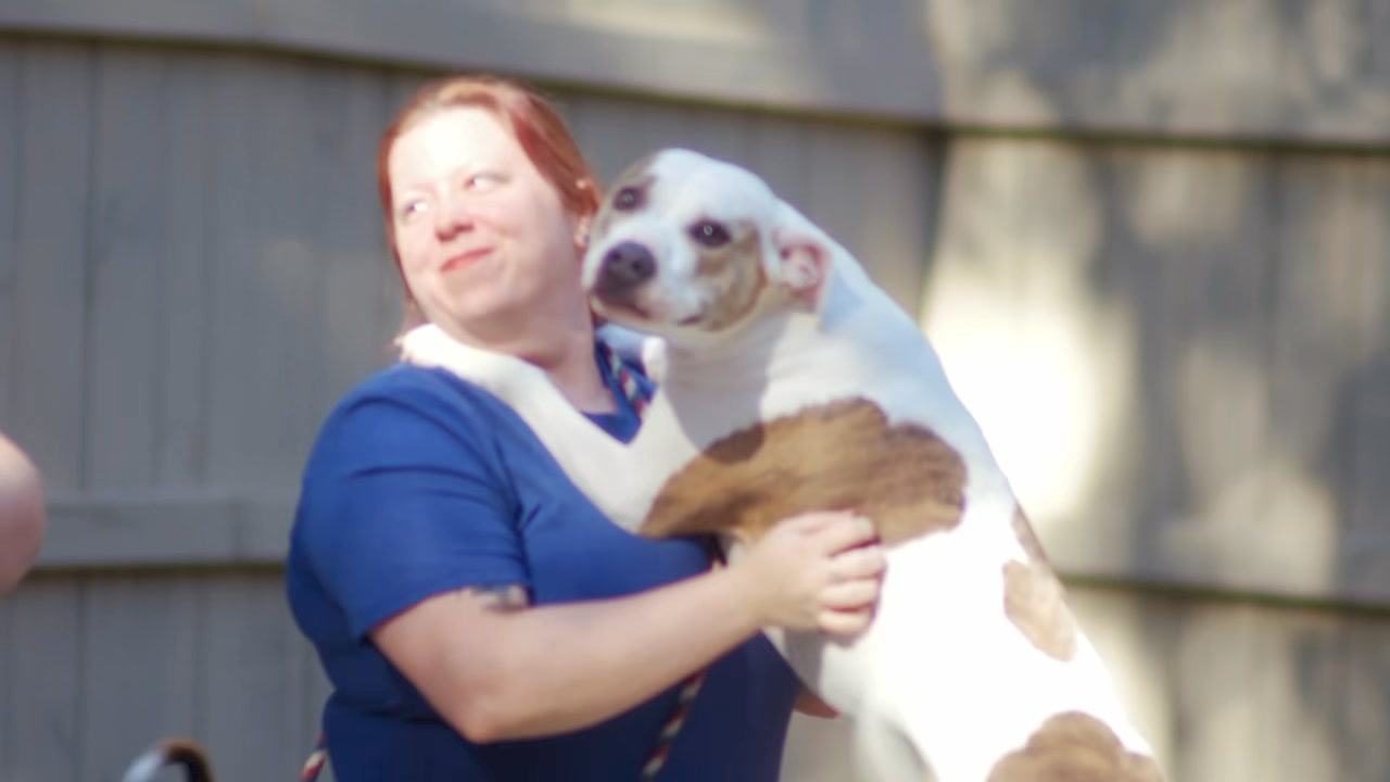 Southern Pines Pet Lodge Facebook ad from May 29, 2026