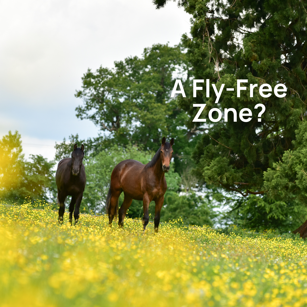 NAF Facebook ad
