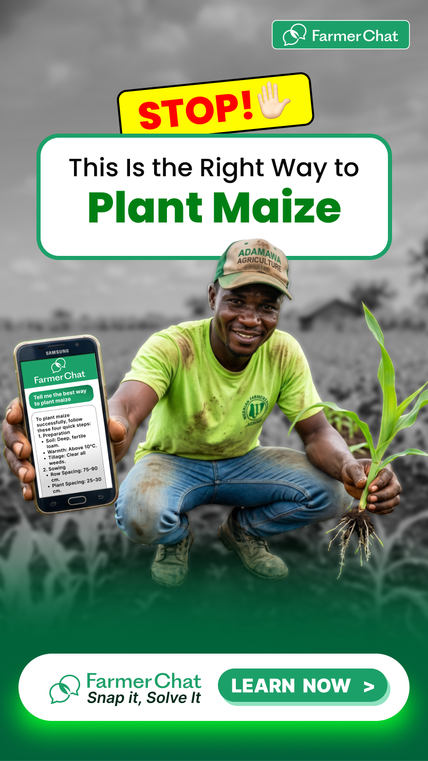 Digital Green Facebook ad from Jun 5, 2026
