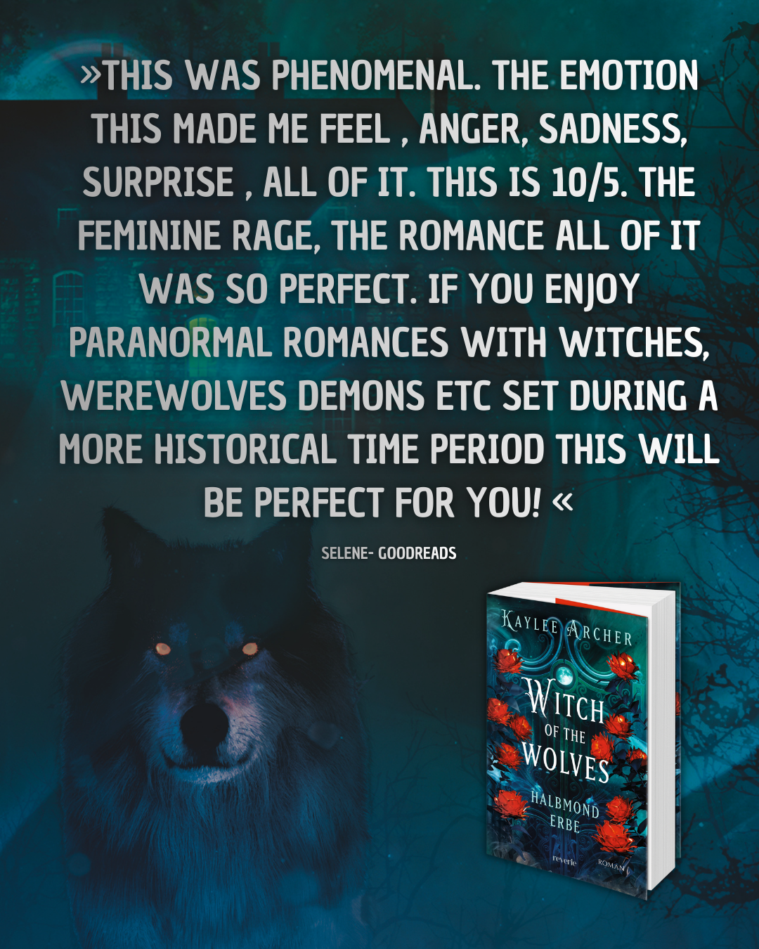 Reverie Verlag Facebook ad from Feb 13, 2026