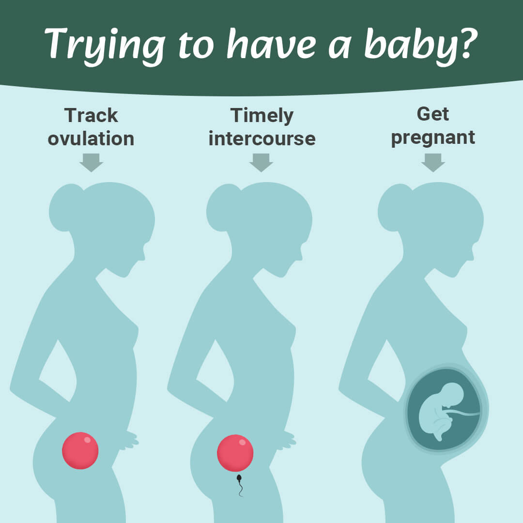 Premom Ovulation Tracker App Facebook ad