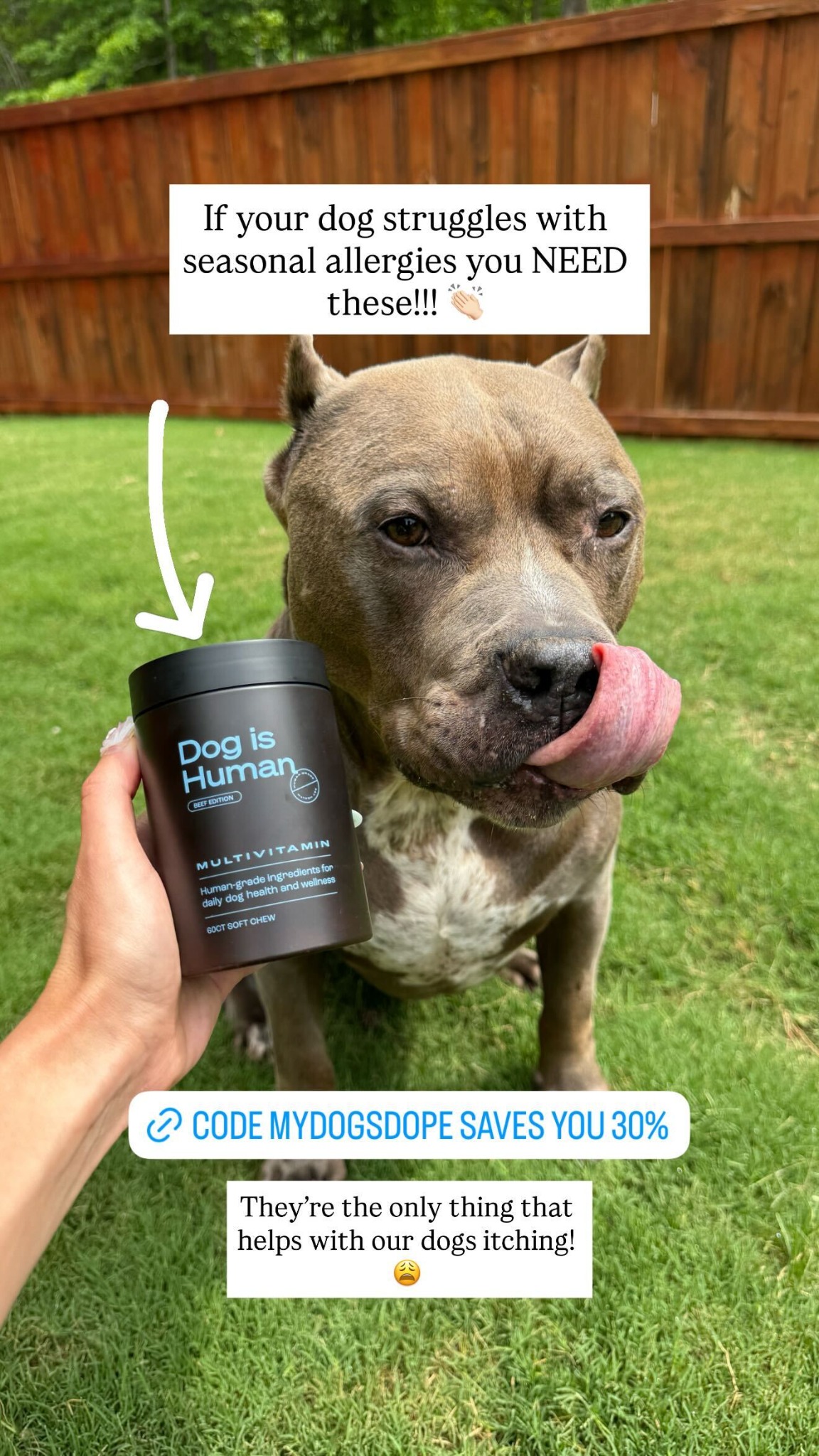 Dog is Human Facebook ad
