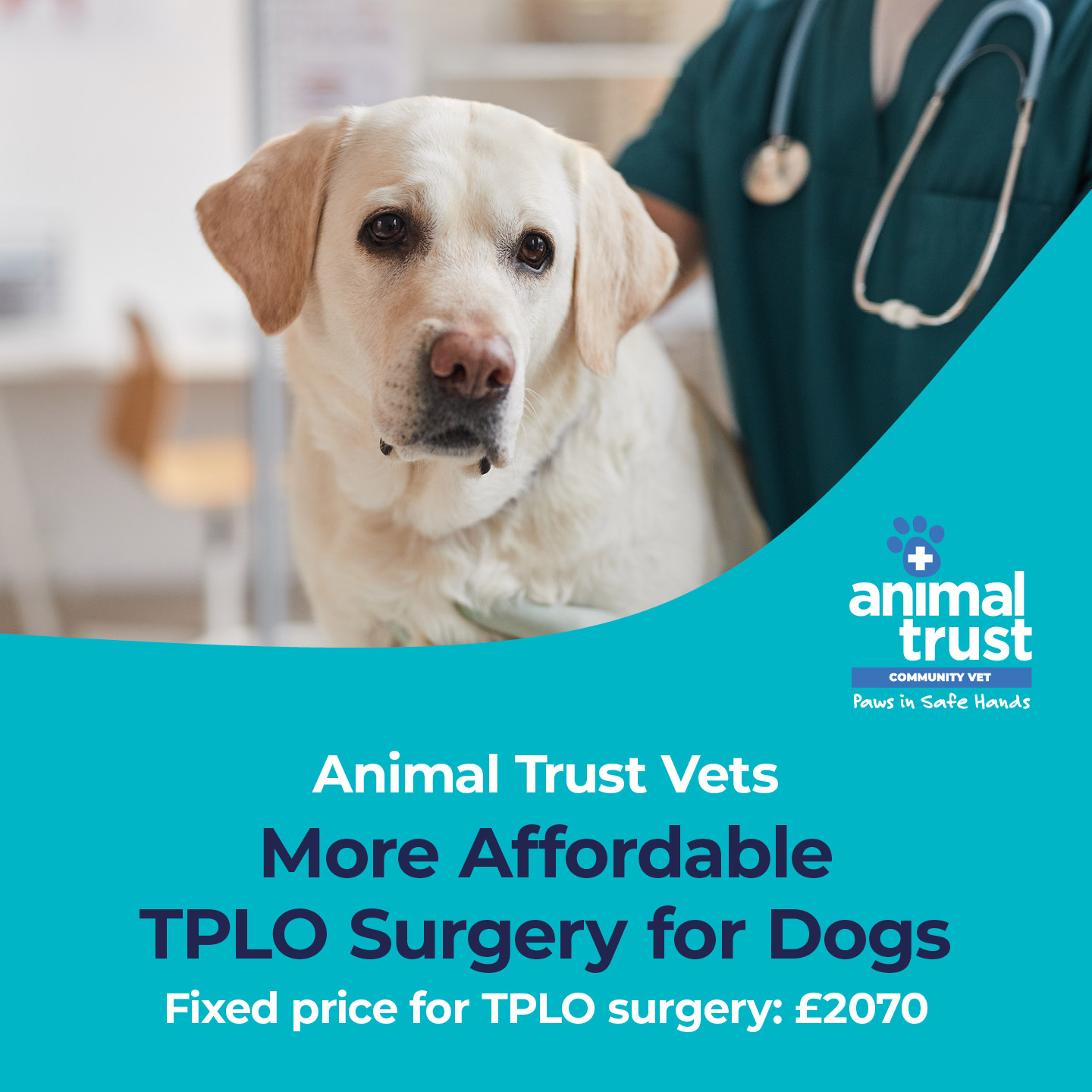 Animal Trust Vets Facebook ad