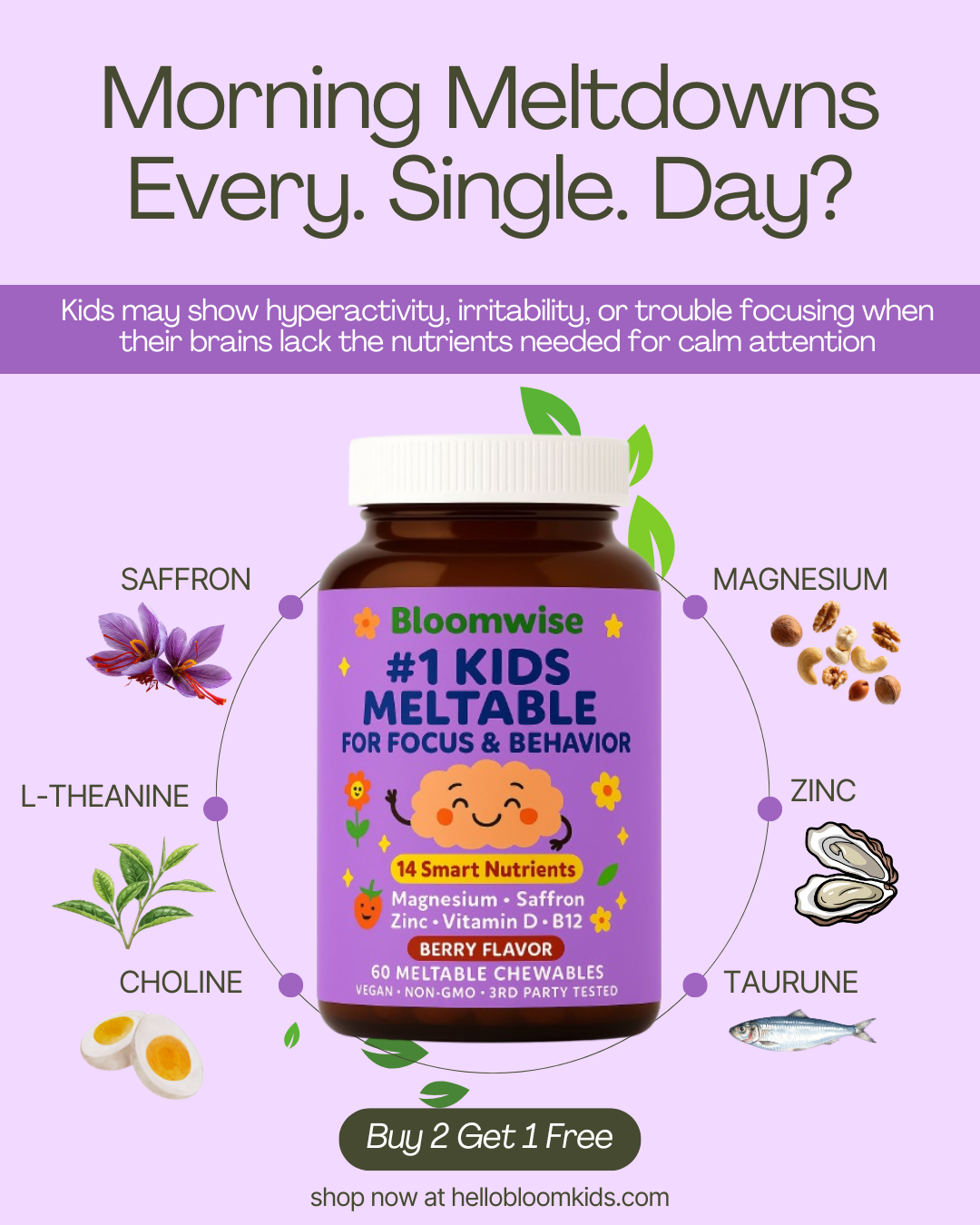 Hellobloomkids Facebook ad
