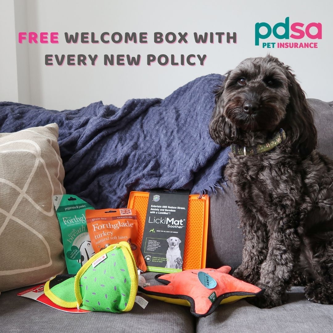 PDSA Facebook ad