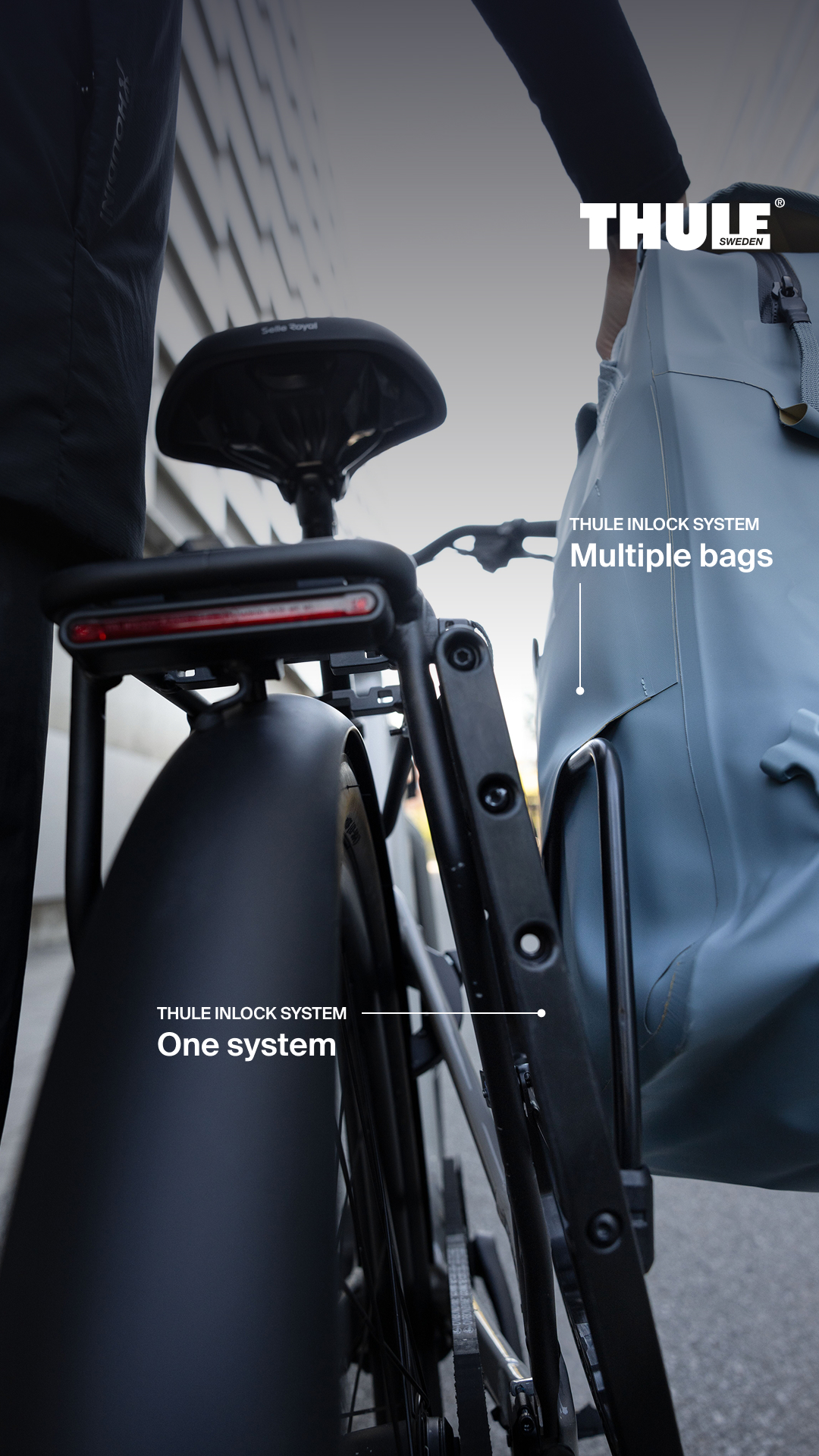 Thule Facebook ad