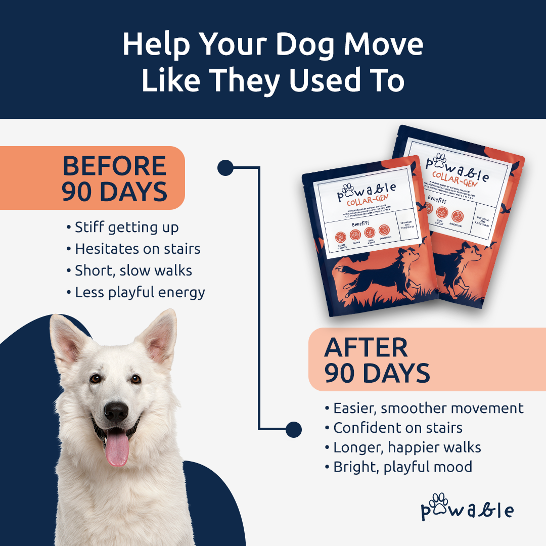 Pawable Facebook ad