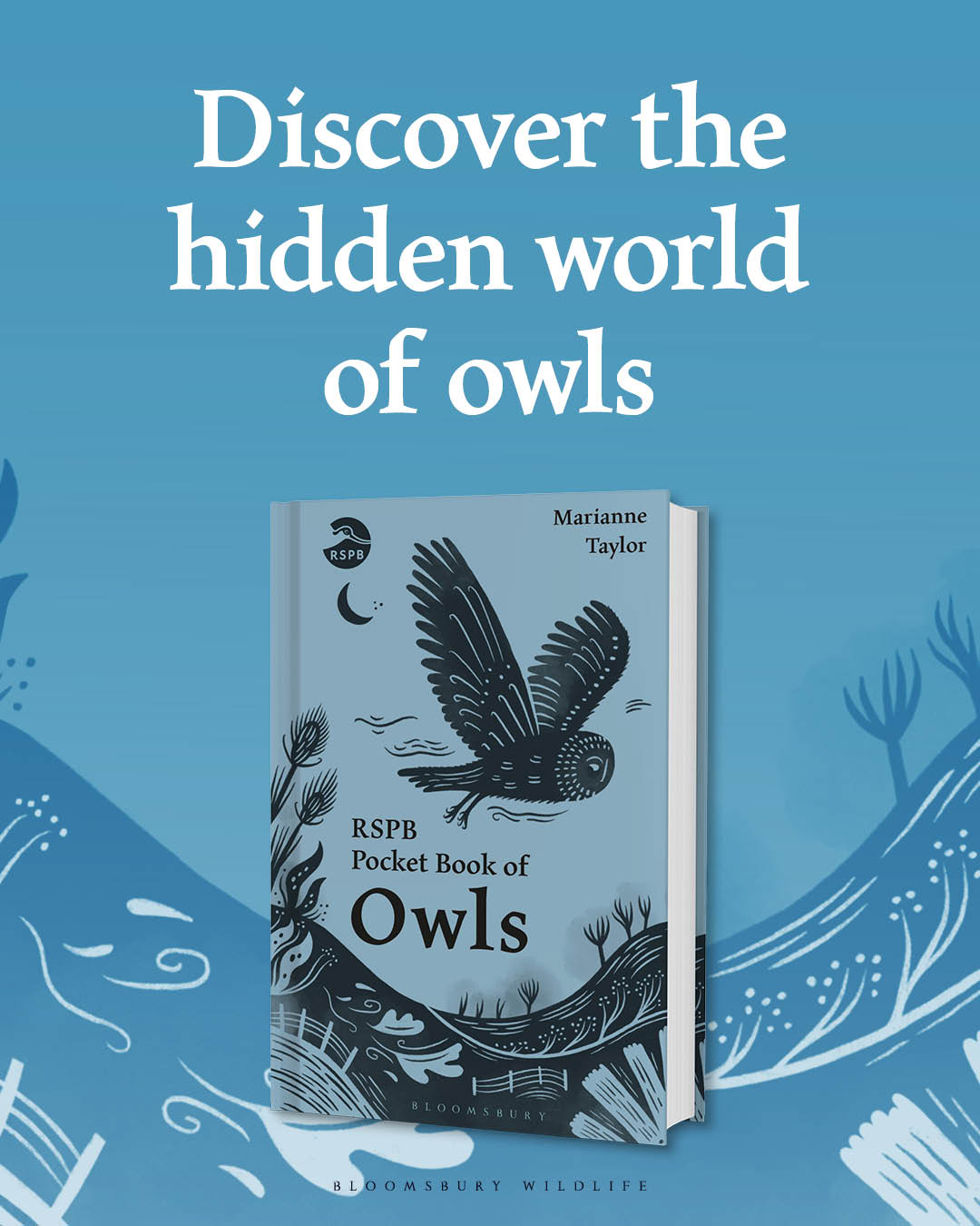 Bloomsbury Publishing UK Facebook ad