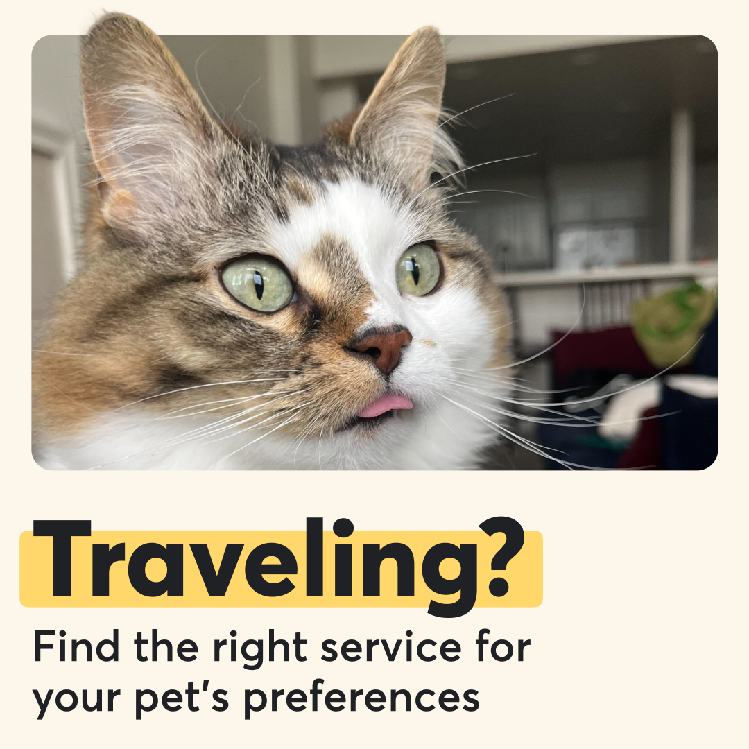 Rover.com Facebook ad