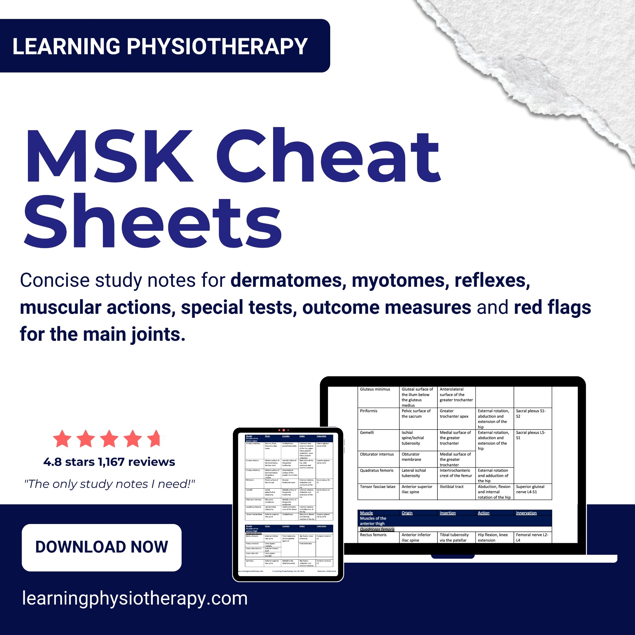 Learning Physiotherapy Facebook ad: Instant Download Musculoskeletal Exam Prep Notes
