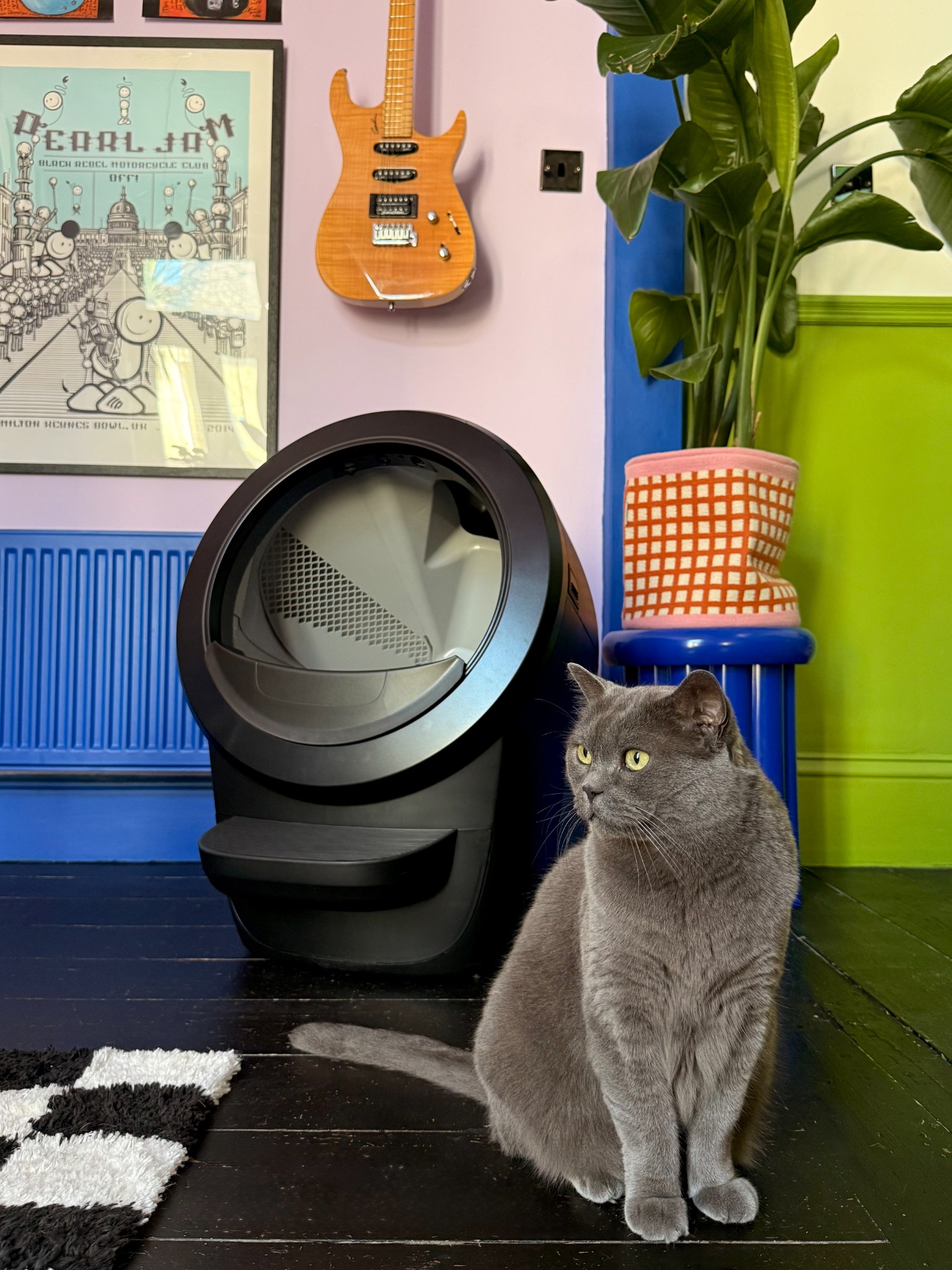 Litter-Robot by Whisker Facebook ad