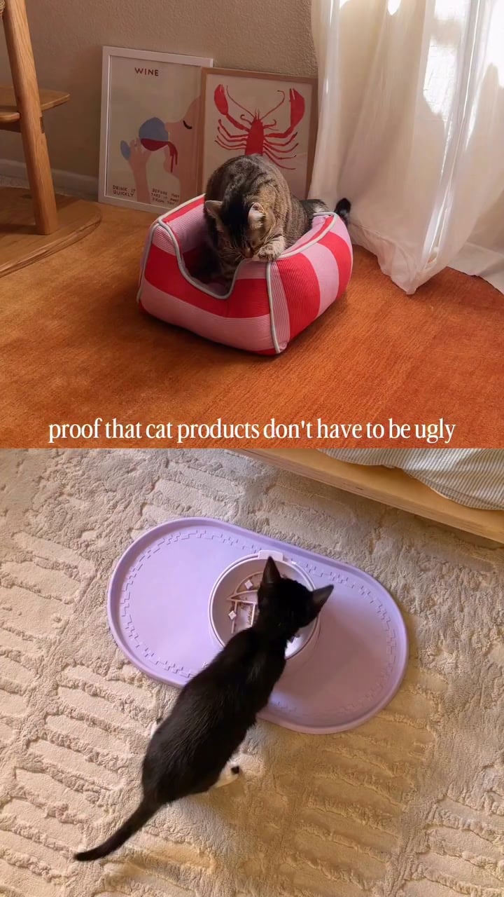 Wild One Facebook ad: The cat's out of the bag… and it's never looked better.