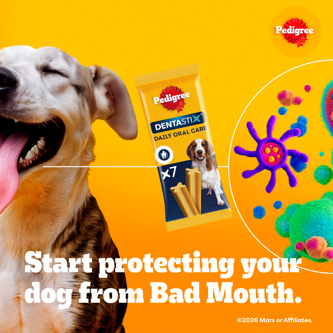 Pedigree UK Facebook ad from Jul 14, 2026