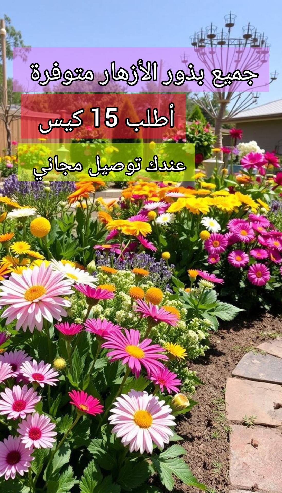 سوق فاميلي دزاد23 Facebook ad: مارس راهو بدا… ووقت التشتيل ما يتعوضش
