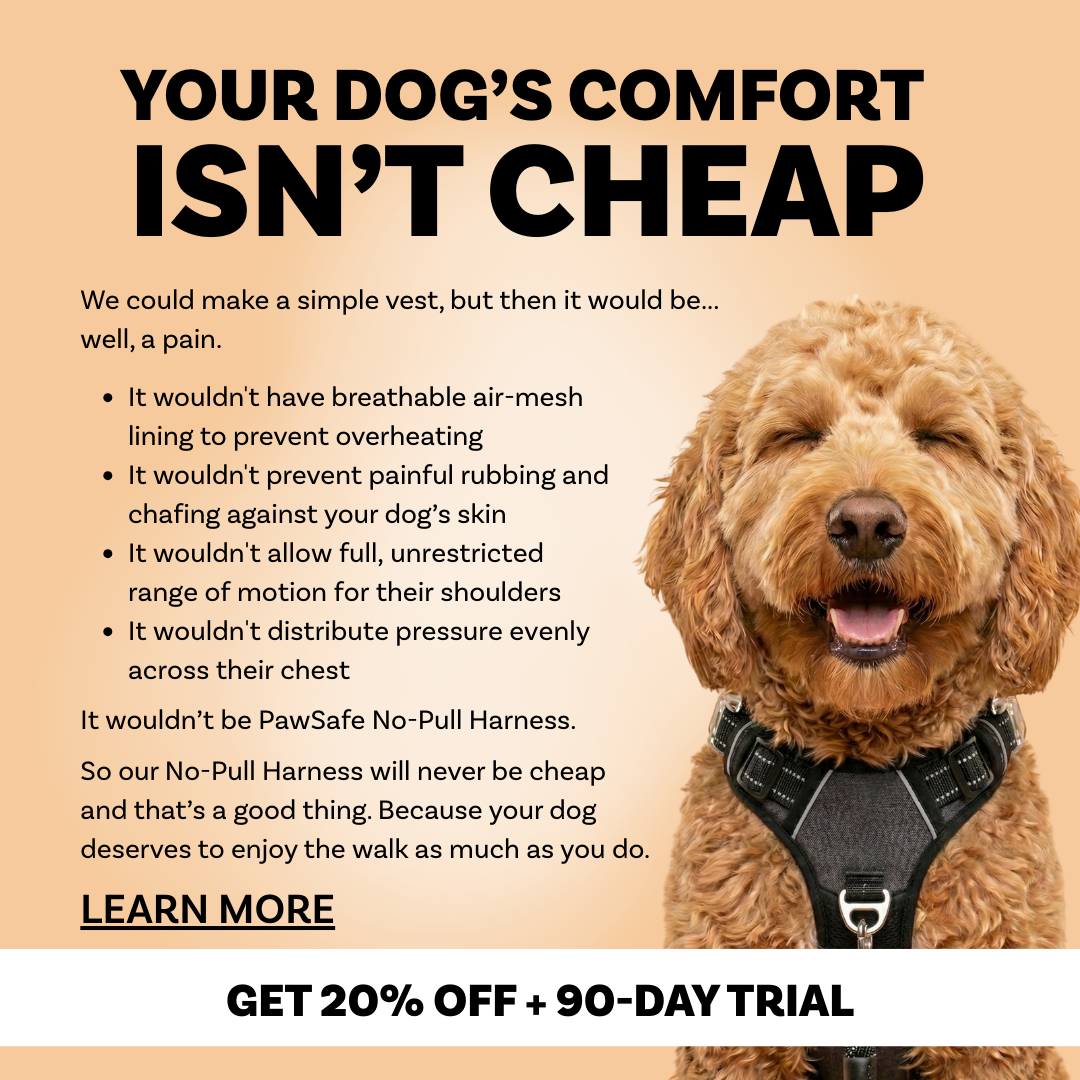 PawSafe Facebook ad
