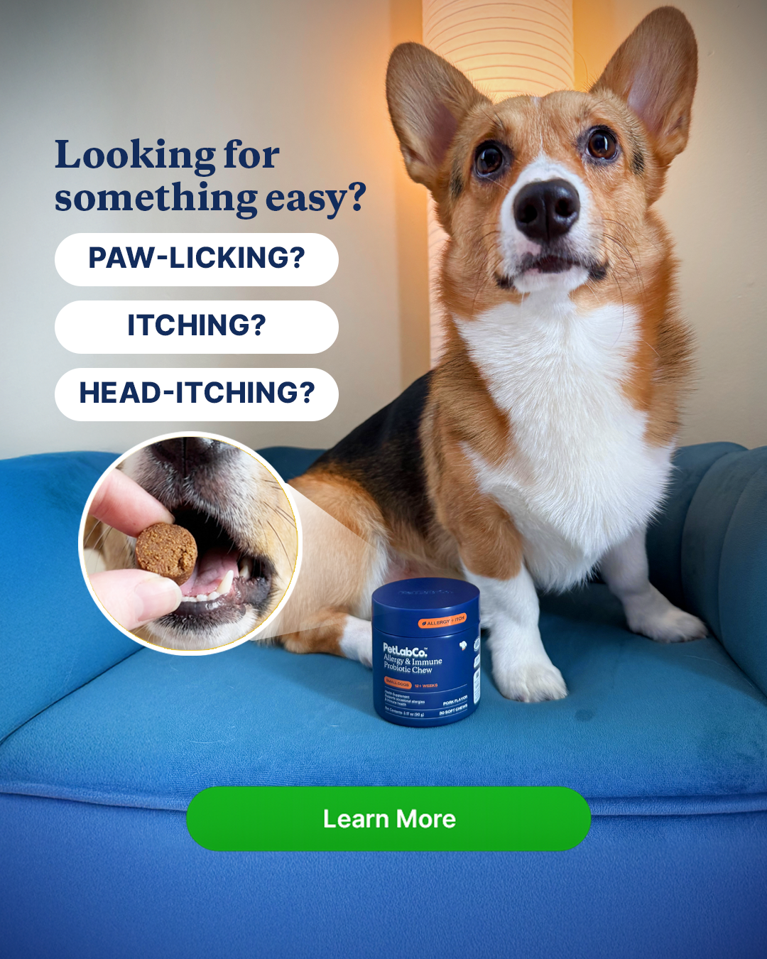 Laszlo The Corgi Facebook ad