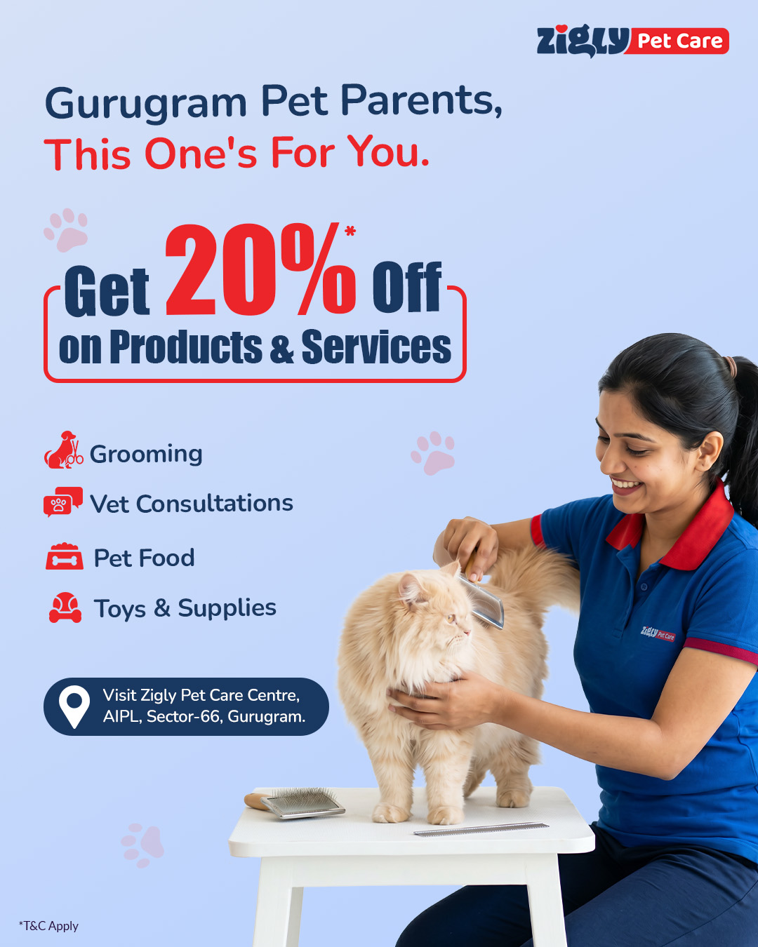 Zigly Facebook ad