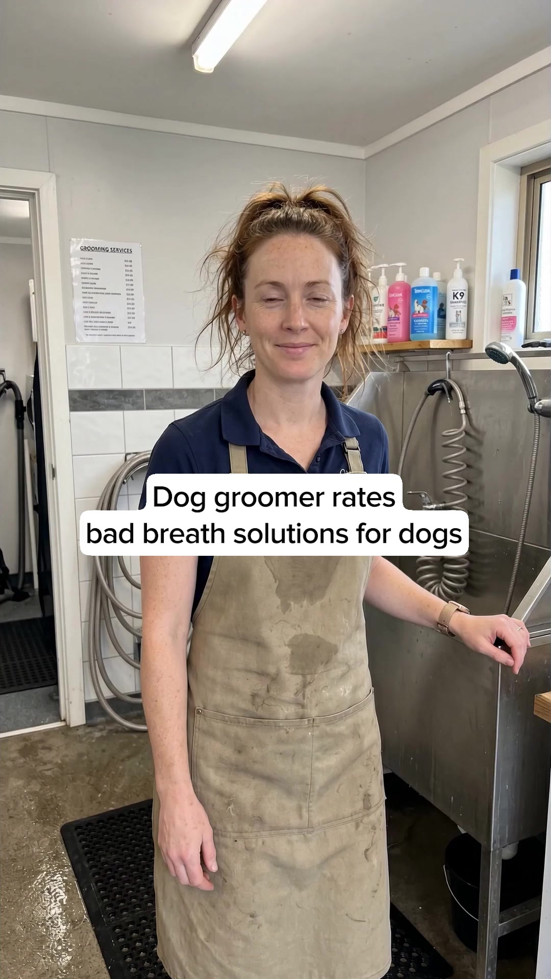 Healthy Dog 24/7 Facebook ad: Vets Love It. Dogs Love It. Owners Trust It.