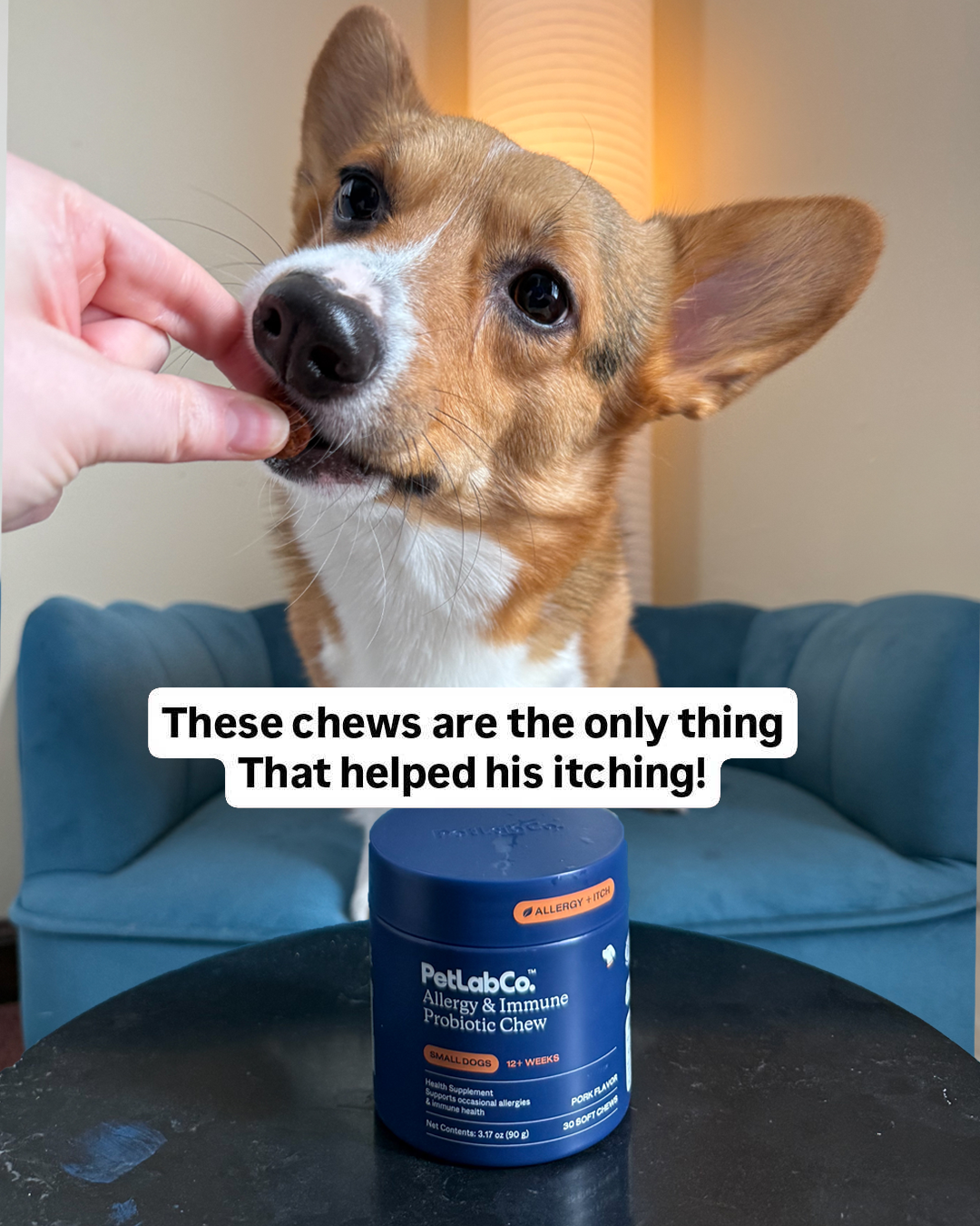 Laszlo The Corgi Facebook ad