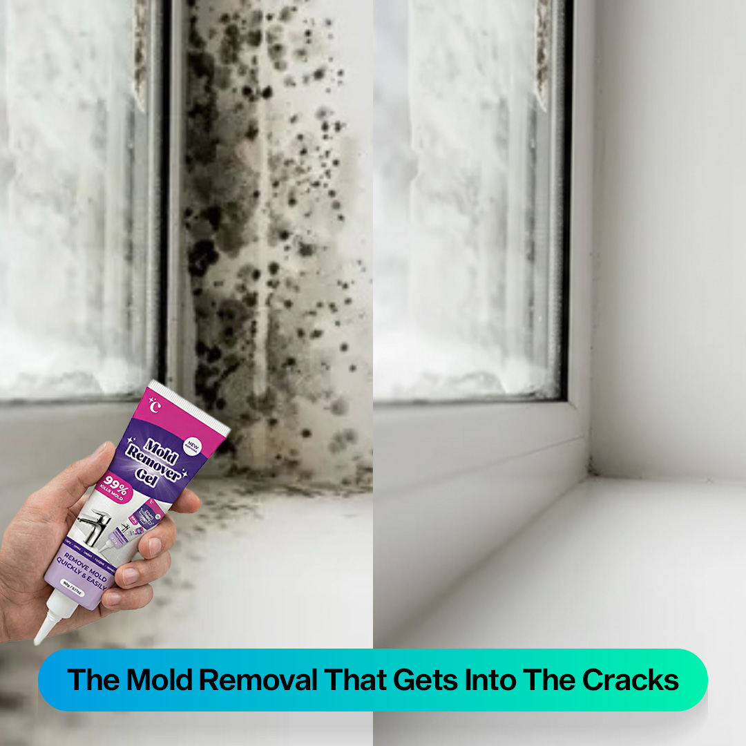 Home Cleaning Hacks Facebook ad: Why Mold Keeps Coming Back