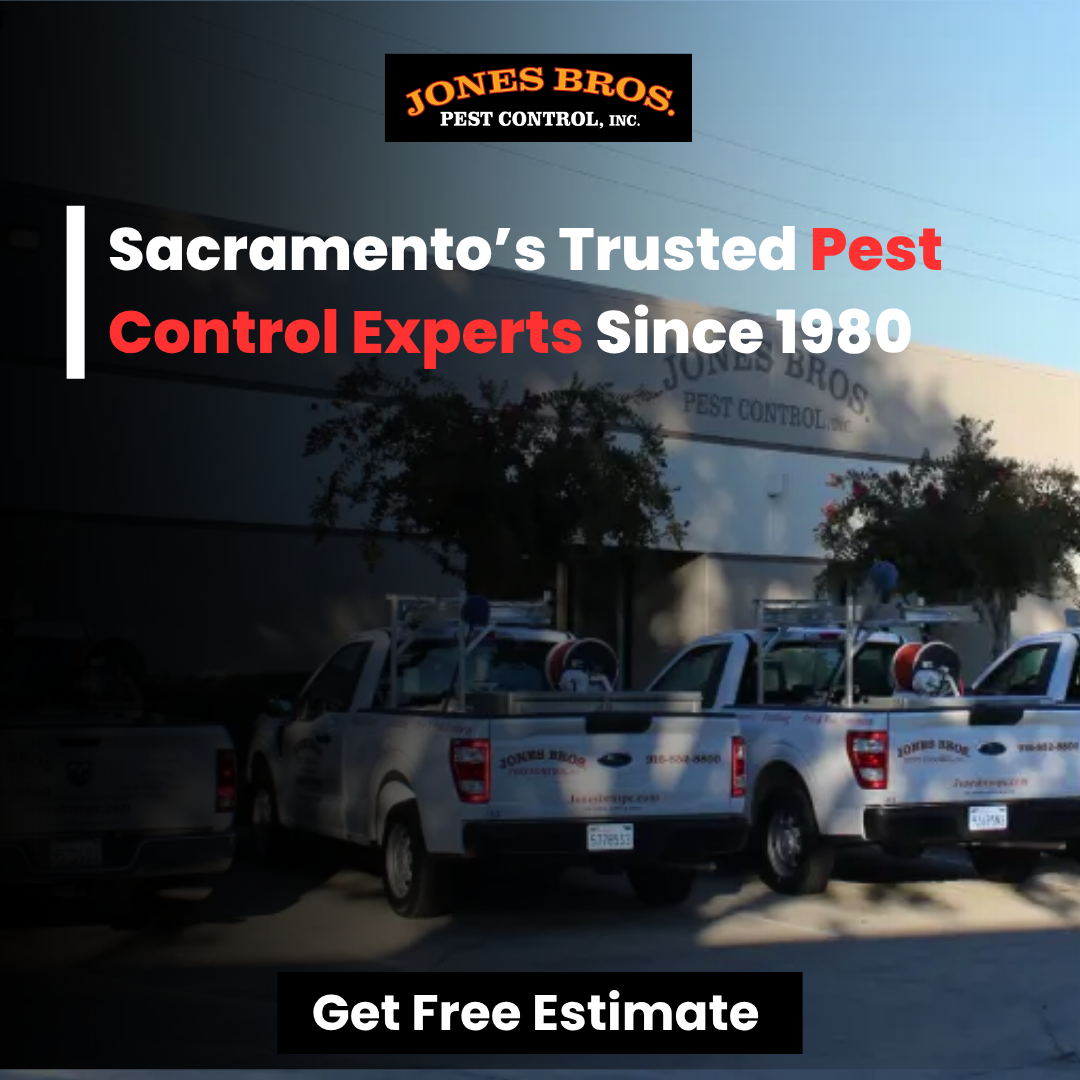Jones Bros Pest Control, Inc. Facebook ad: Book your spider control today!