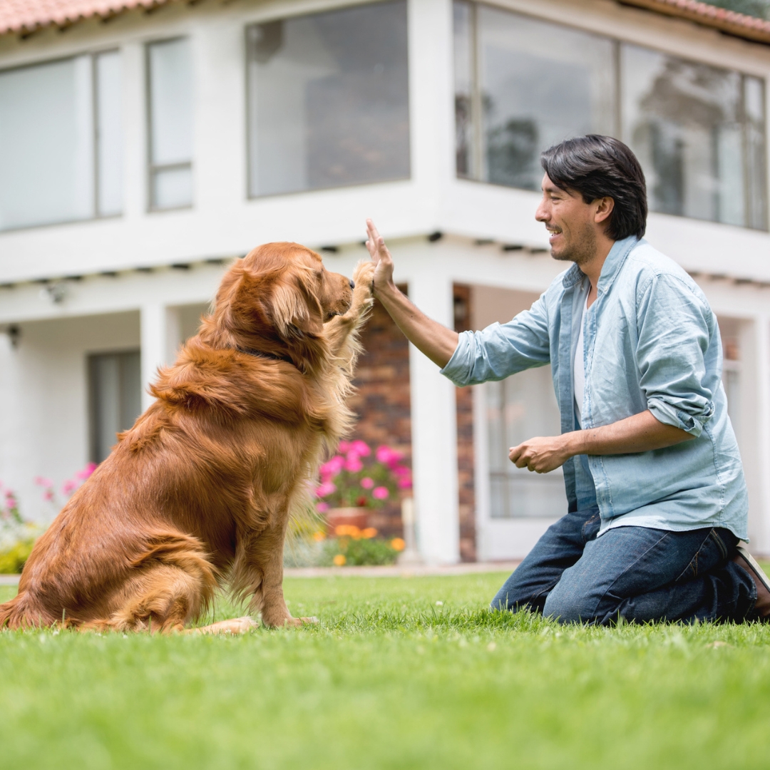 Lainhart's K-9 Academy Inc. Facebook ad: Trusted & Reliable Dog Training Experts