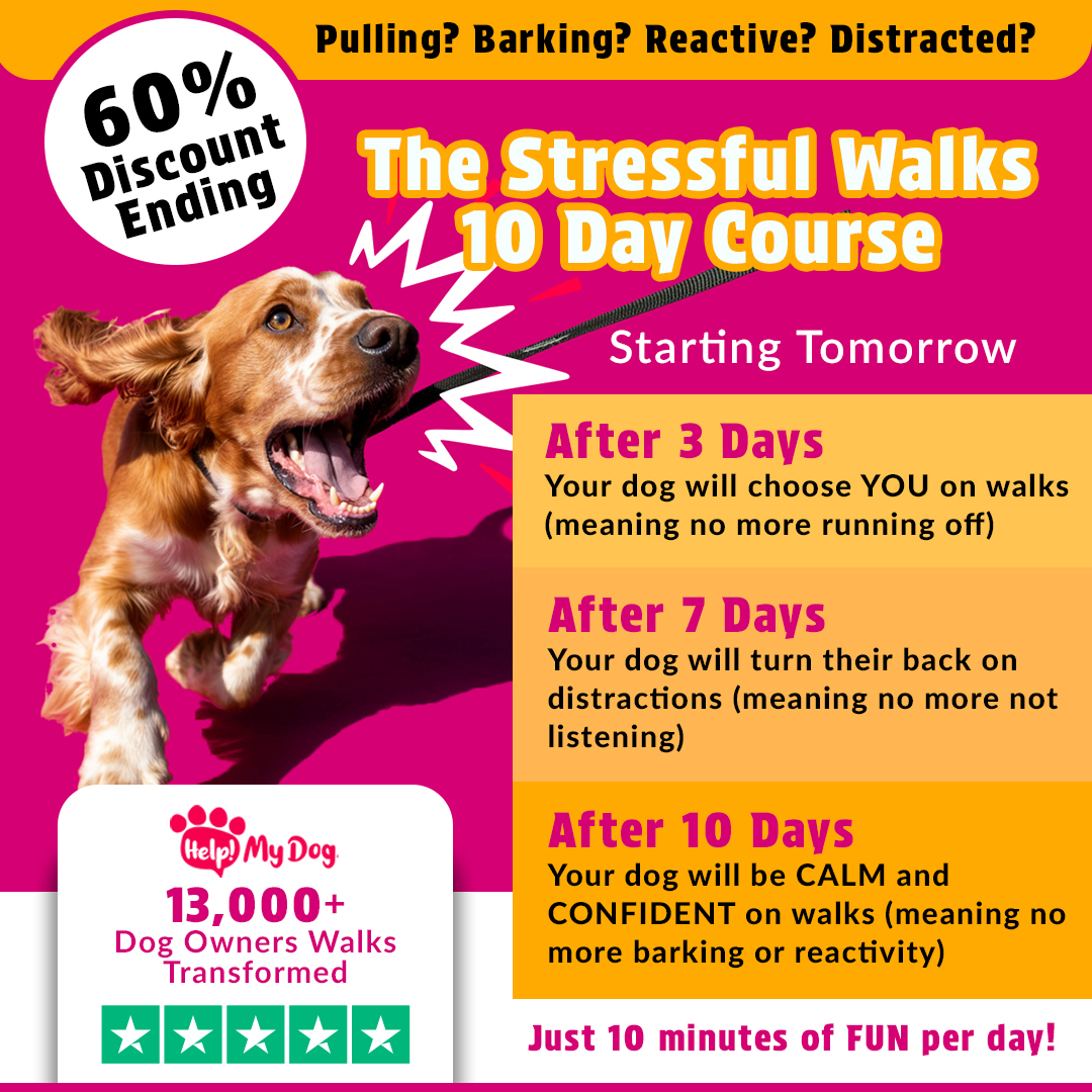 Help My Dog Facebook ad