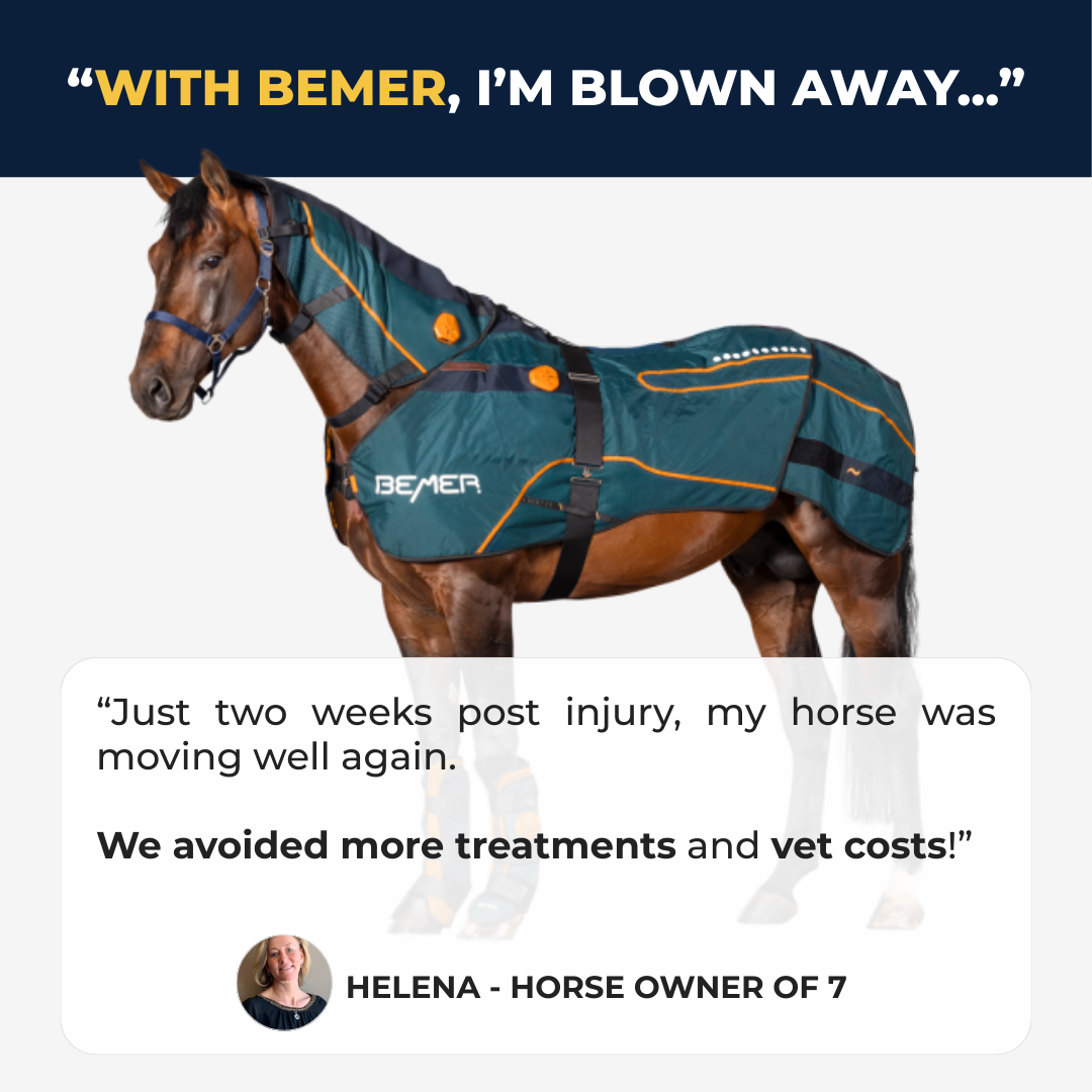 Boost Horse Circulation Facebook ad