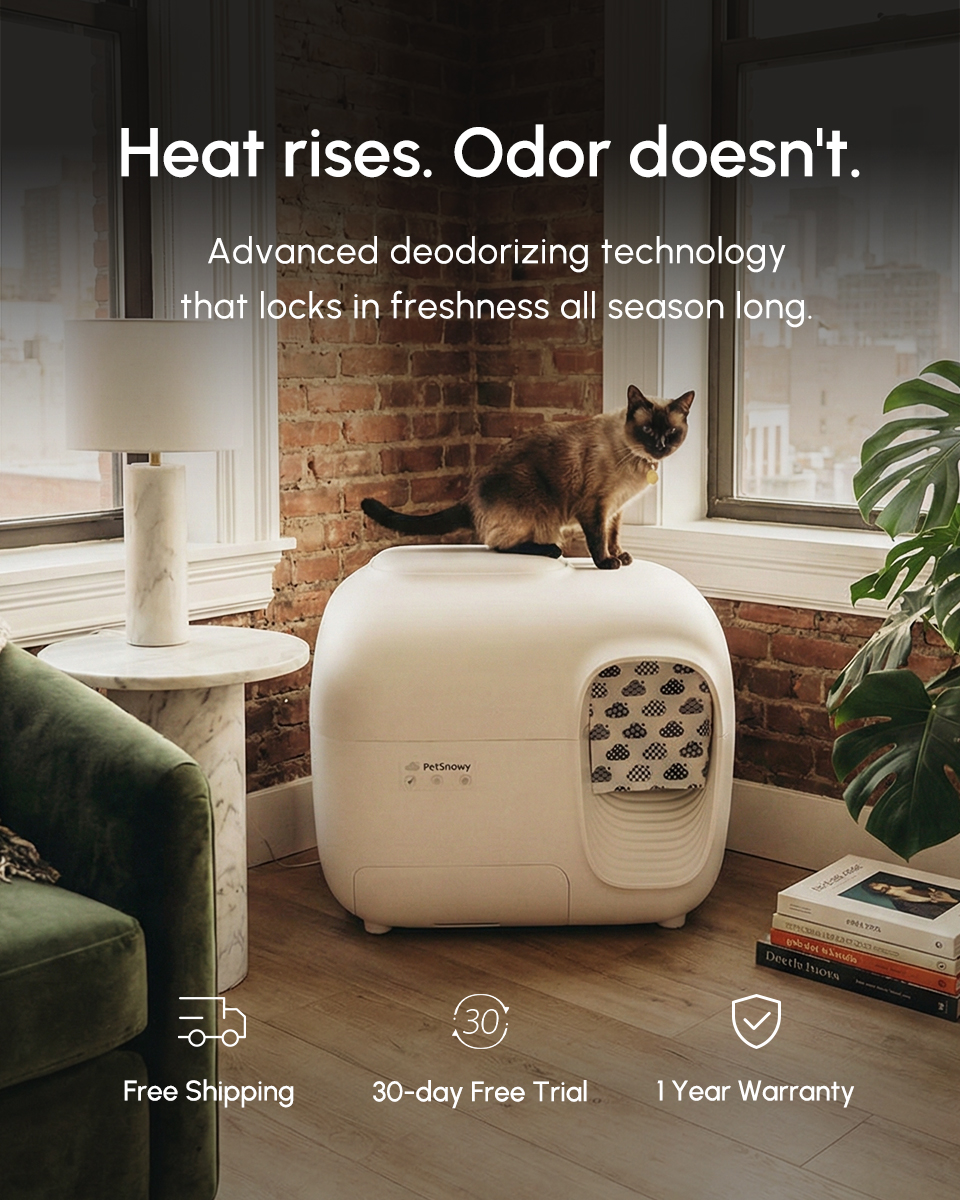 PetSnowy Facebook ad