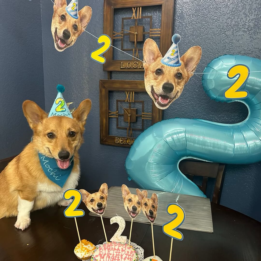 PartyAnimal Facebook ad: This summer, we got front-row seats to the…