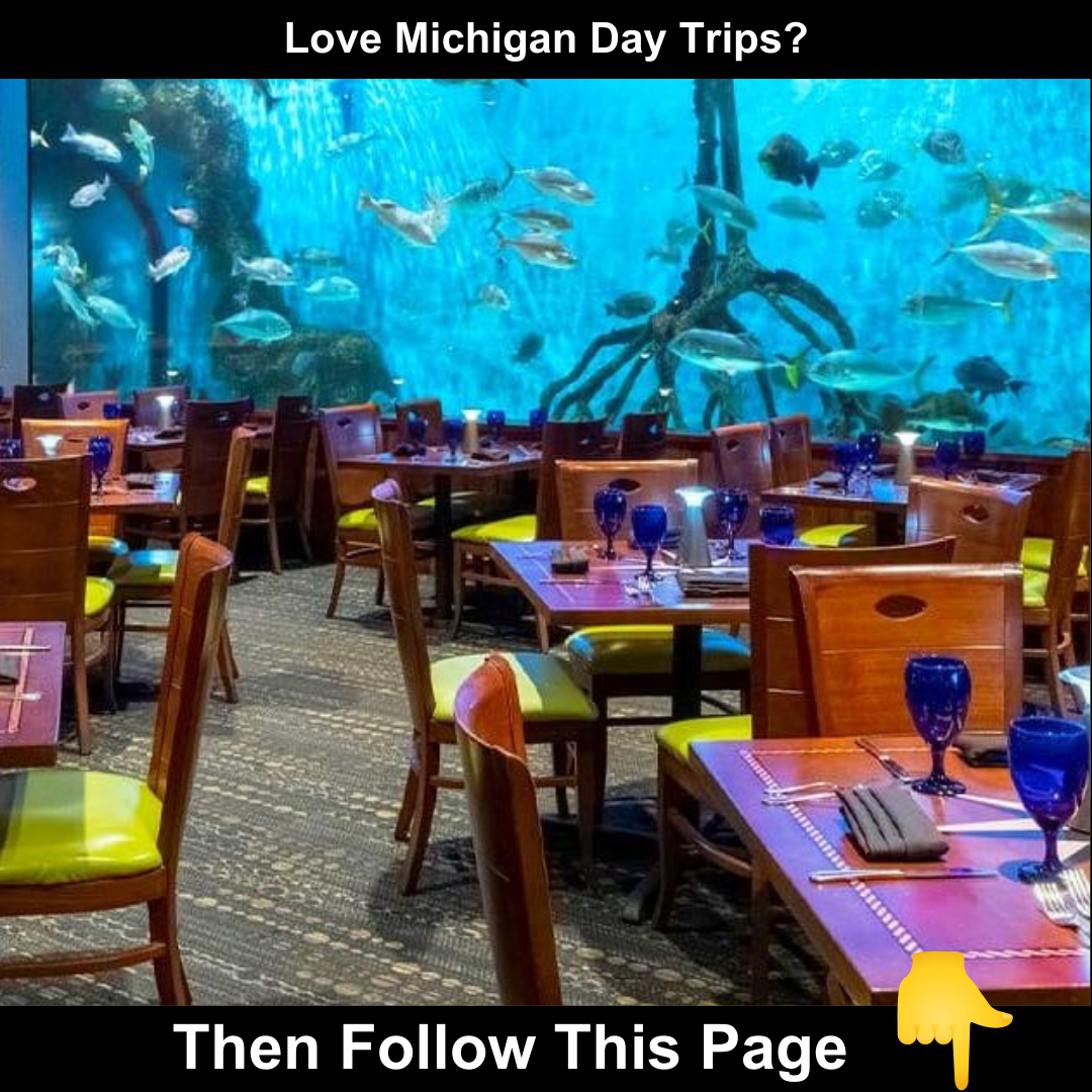 Michigan Family Destinations Facebook ad