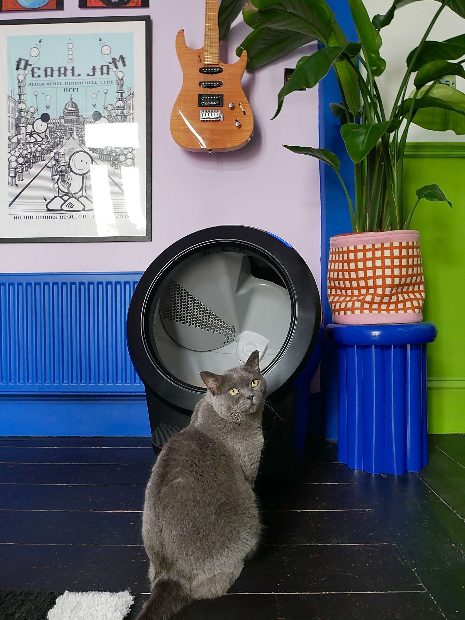 Litter-Robot by Whisker Facebook ad