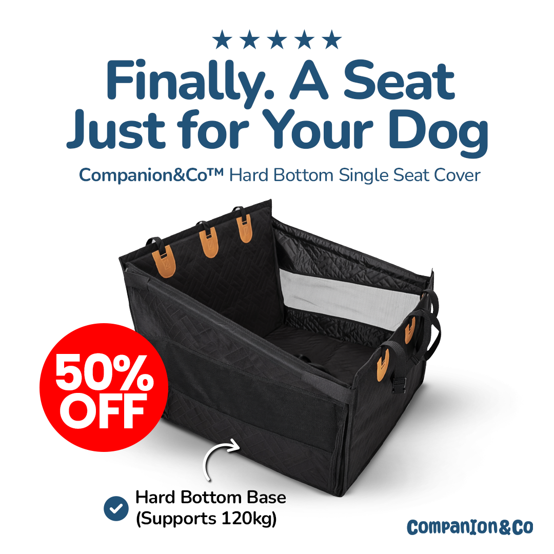 Companion&Co Facebook ad