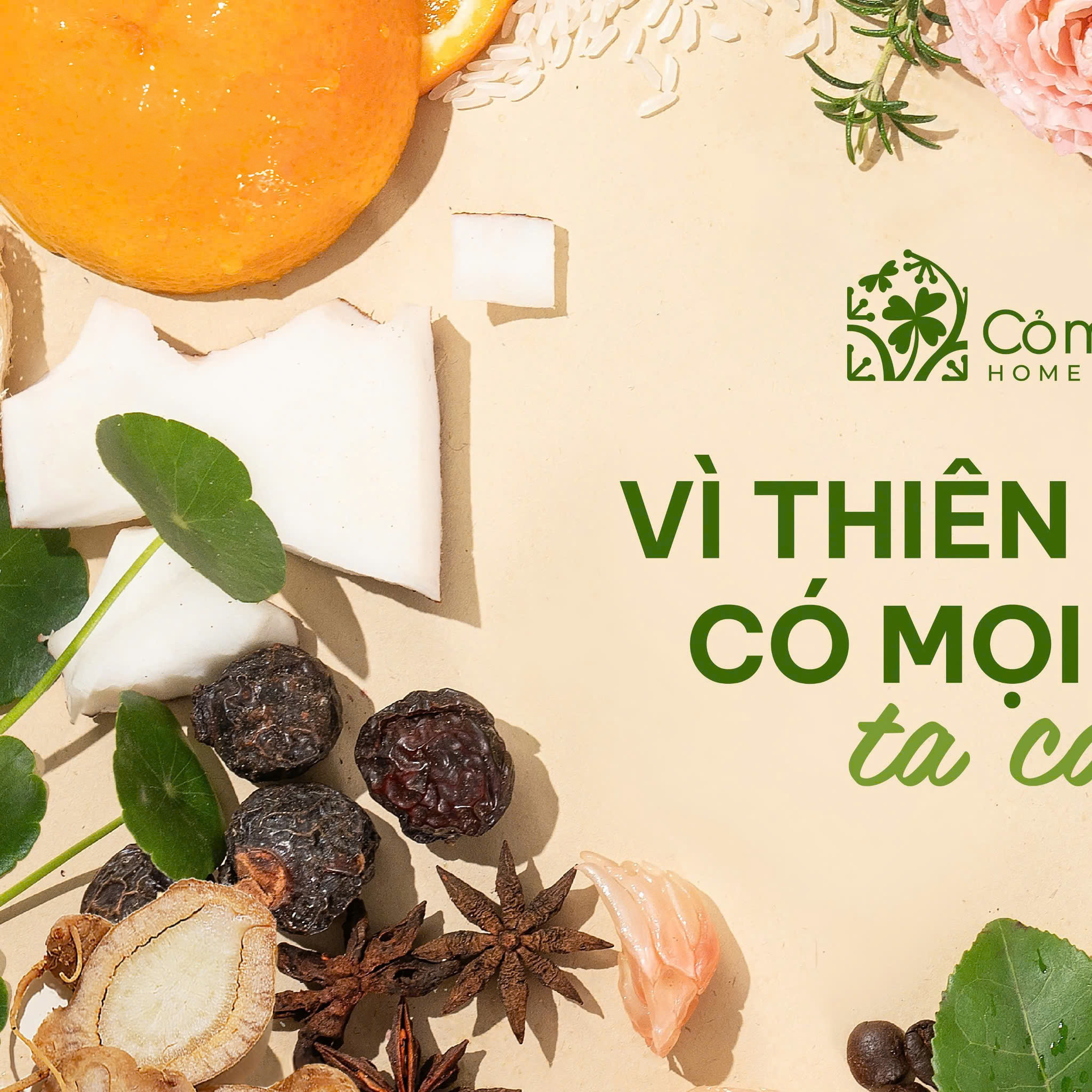 Cỏ mềm HomeLab Facebook ad