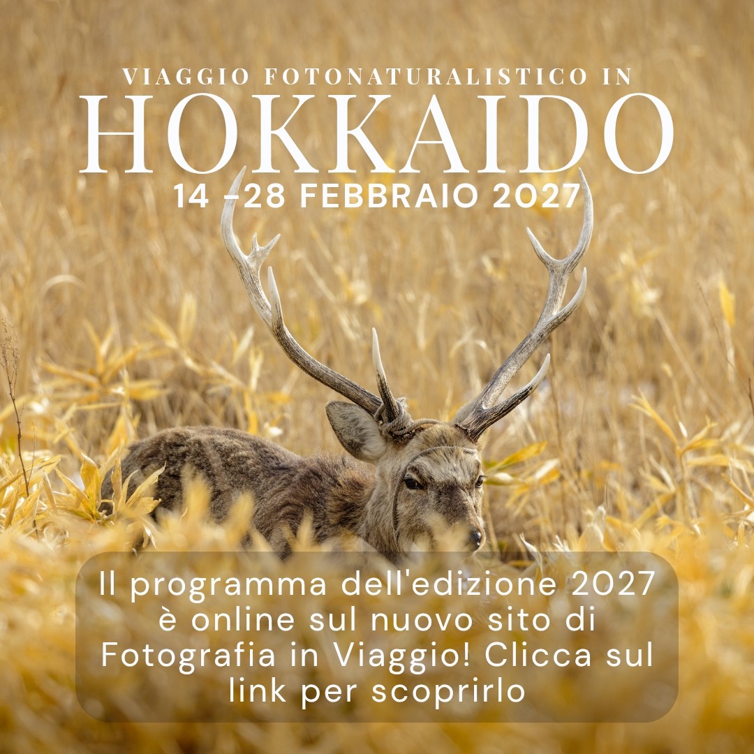Enrico Fulco Photography Facebook ad: Viaggio fotografico Hokkaido e Honshu