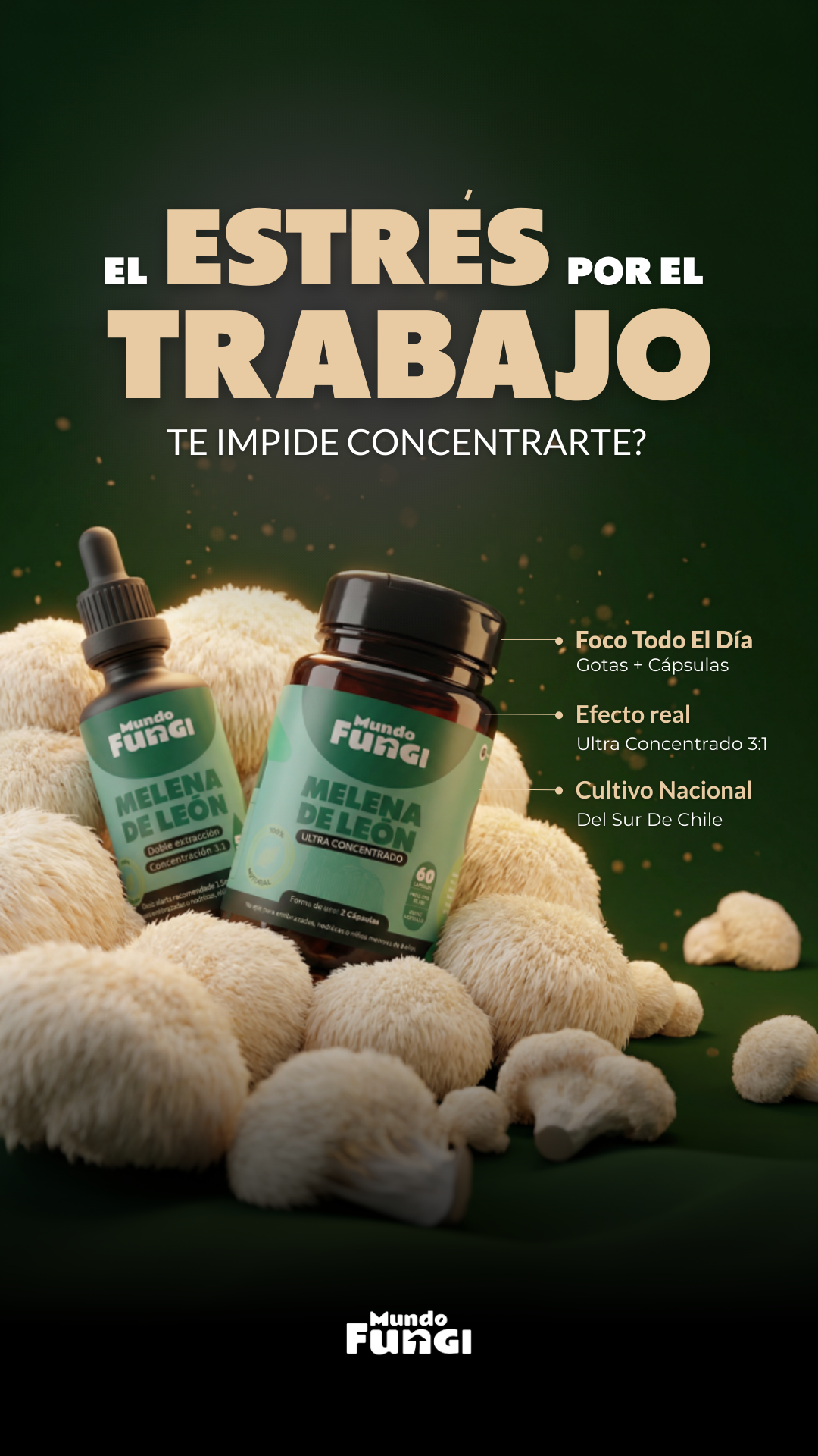 Mundo Fungi Facebook ad