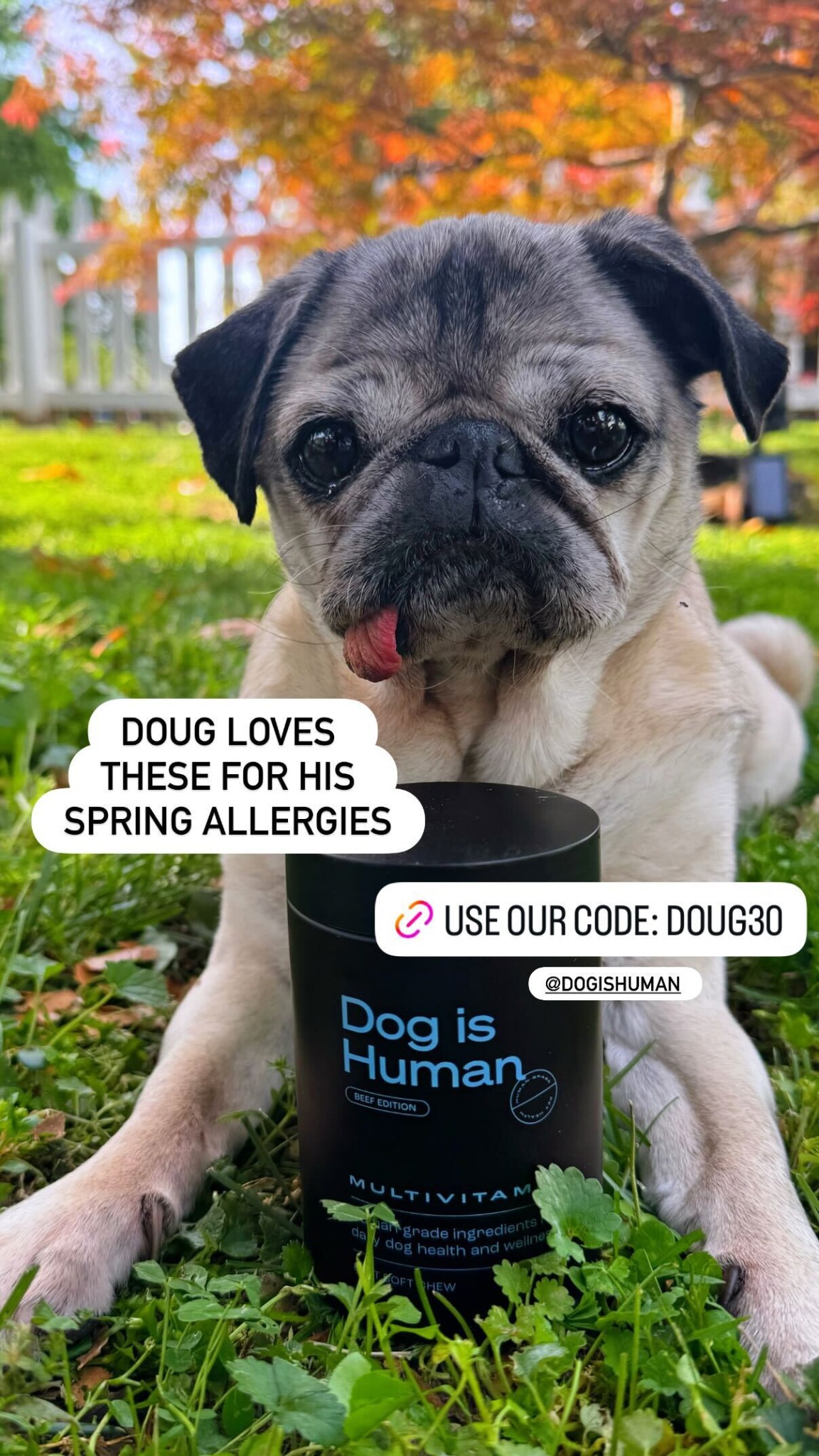 Doug The Pug Facebook ad: Daily Dog Multivitamin, Real Results