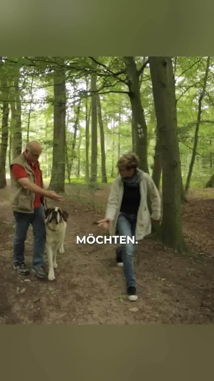 Ziemer & Falke - Schulungszentrum für Hundetrainer Facebook ad: Hundetrainer/in werden Ein Webinar - Alle Infos!
