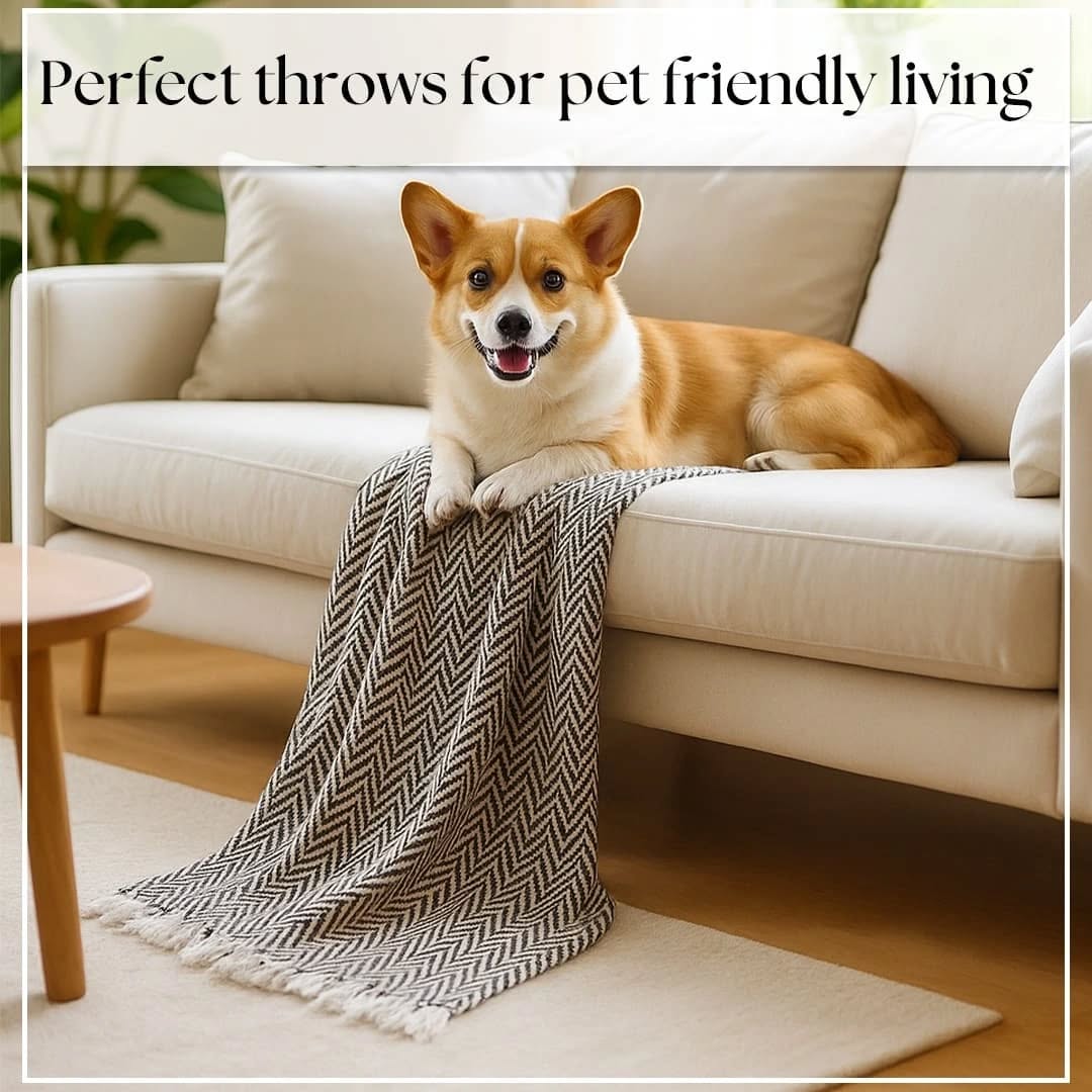 Homemonde Lifestyle Facebook ad: Pet tested. Paw approved.