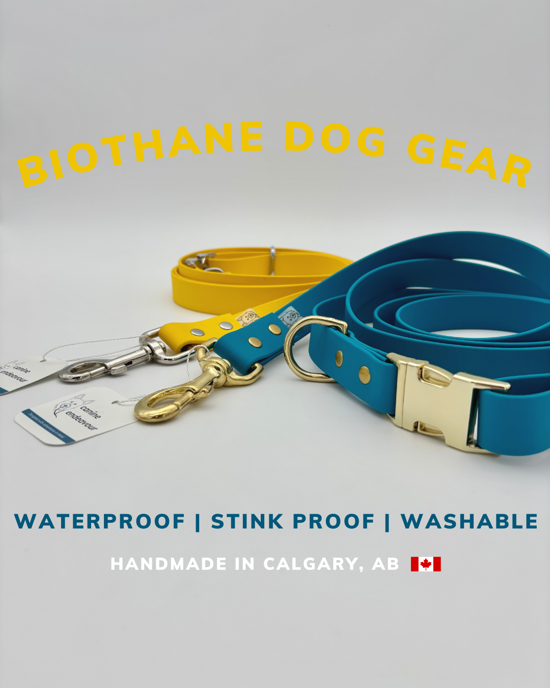 canine endeavour Facebook ad